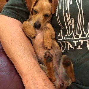 Meet your Posher, Jones